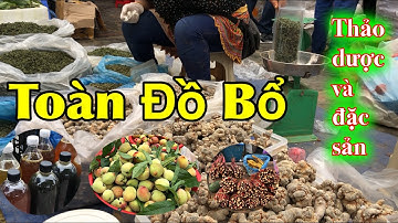 THIÊN ĐƯỜNG THẢO DƯỢC VÀ ĐẶC SẢN QUÝ - CHỢ PHIÊN BẮC HÀ LÀO CAI