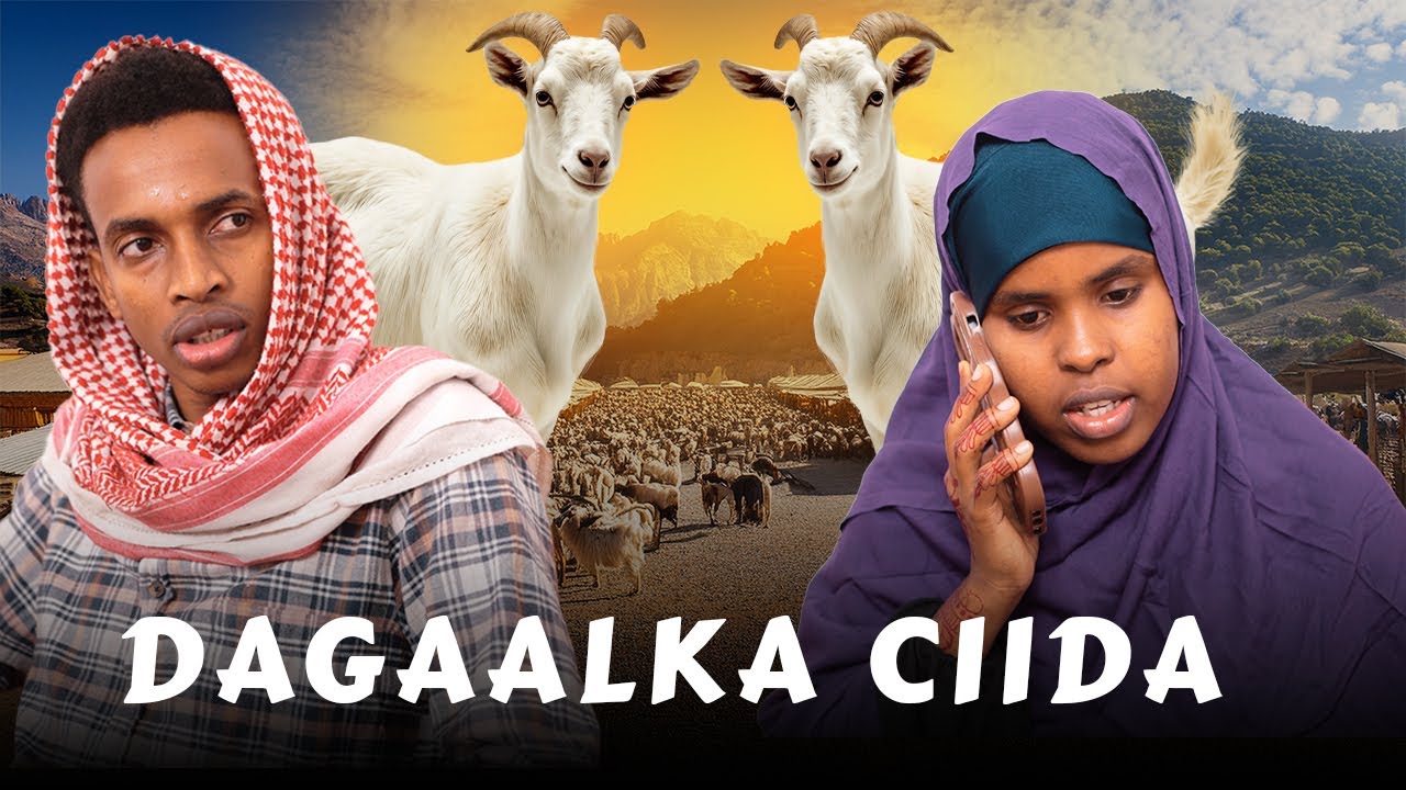 Ciida Maalinta Ka Horraysa Dadka Xoolaha Qasha Sida Ay U Dhaqmaan.@jiilmedia