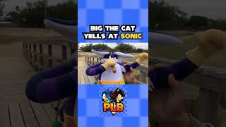Funny Sonic Zoom Moment #5 (Sonic Shorts) #shorts