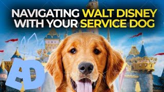 Everything You Can Do in Disney World With Your Service Dog