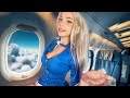 ASMR Your Cute Luxury Flight Attendant