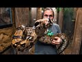 IS THIS THE LARGEST BOA CONSTRICTOR IN THE WORLD?? | BRIAN BARCZYK