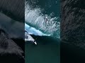Surf Shield - setting new benchmarks in the industry.