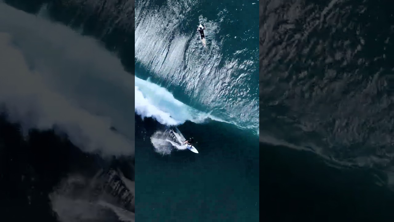 Surf Shield - setting new benchmarks in the industry.