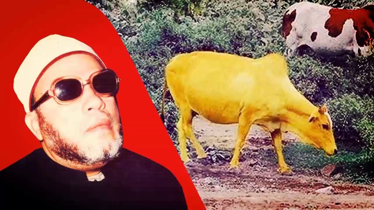 اجمل خطب الشيخ كشك - قصة بقرة قوم موسى