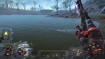 Mirroring Water Bug Fallout 4