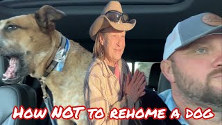How NOT to Rehome A Good Dog
