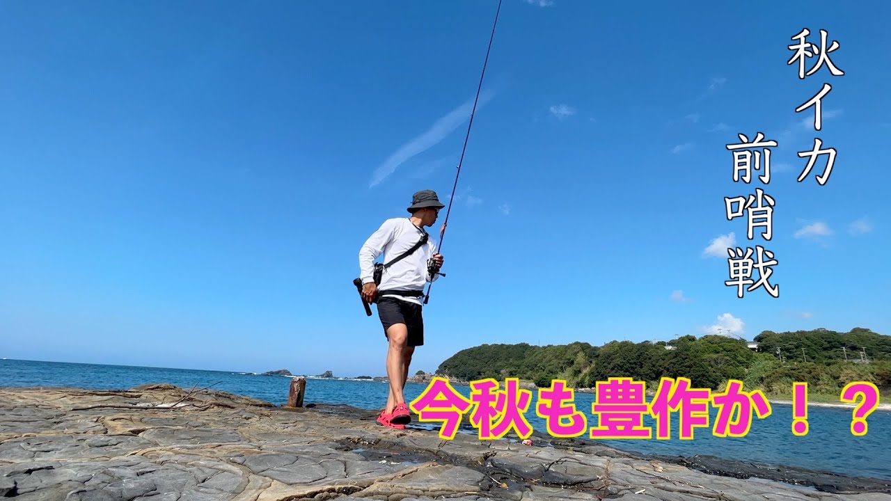 【秋イカの準備はOK？】南紀和歌山で秋イカが群れていた！