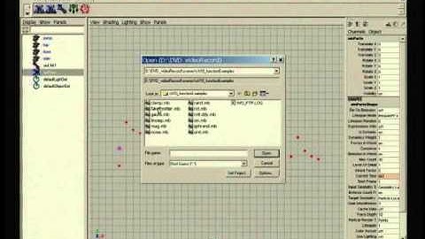 SIN : Tutorial for Autodesk