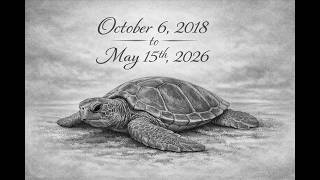 Turtle WoW on the day the shutdown was announced Wealth