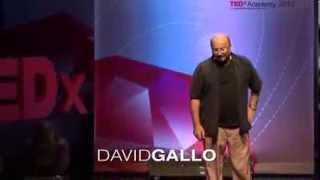 Planet Poseidon -the need to explore and understand the global ocean: David Gallo at TEDxAcademy
