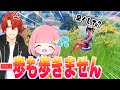 【余裕!?】一歩も動かないでビクロイを目指せ！！実況者みんなでわたあめを運べ！！！【フォートナイト】