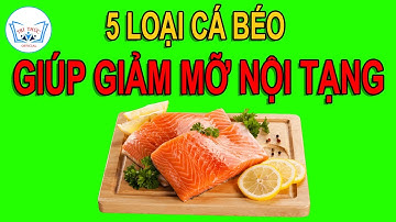 5 loại Cá Béo Nên ăn Thường Xuyên để Giảm Mỡ Nội Tạng | Tri Thức Official