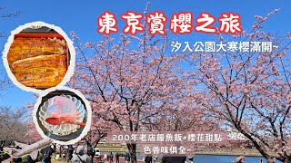 Tokyo Cherry Blossom🌸Shioiri Park's Oh-kanzakura in Full Bloom! Exploring Asakusa Sensoji \&Ueno Park