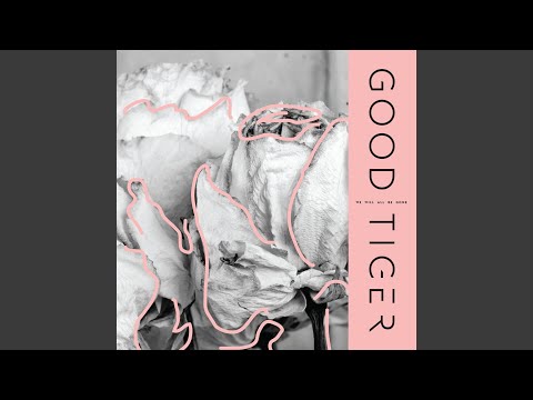 Grip Shoes - Good Tiger
