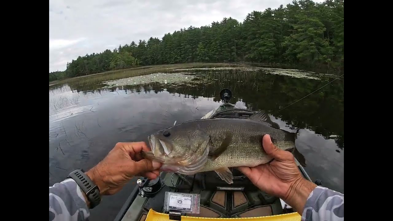 Chasing 100 | A Day Of Topwater Fishing with a Modest Upgrade