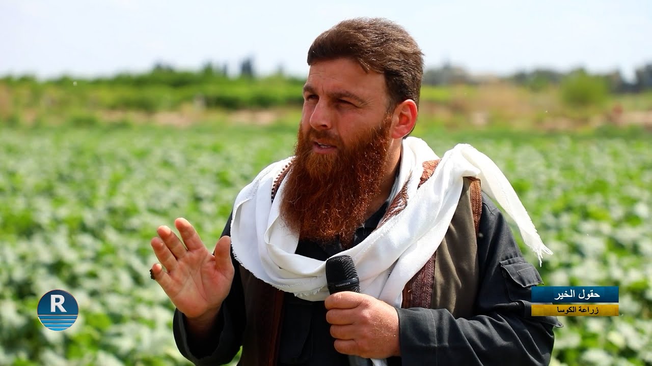 حقول الخير|| زراعة  الخضروات الصيفية في الرقة||  12 - 4 - 2025