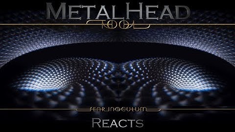 METALHEAD REACTS to "Fear Inoculum" by Tool