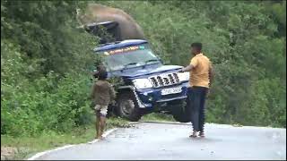 elephant 🐘 attacks jeep #wildelephants #attack #adventure #wildlife