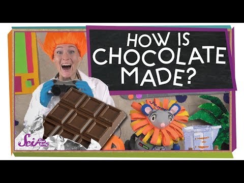 Video: Runderchocolade: ze hebben ze echt uitgevonden