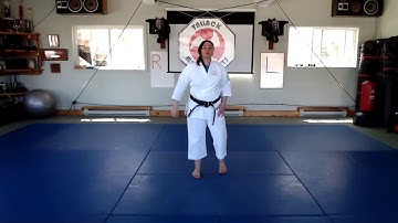 Lesson: Nihon Kumite - Ge Chu