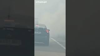 Fin de semana negro en Galicia: los incendios forestales dejan más de 1.300 hectáreas calcinadas