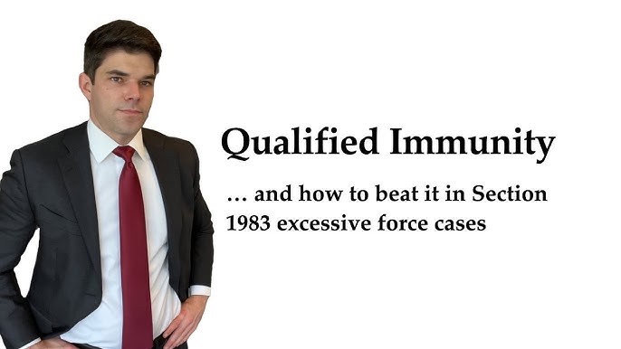 Demystifying Qualified Immunity 2024