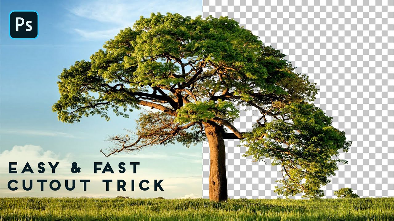 Cut Out Tree Tutorial YouTube