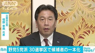 野党5党派の党首が合意　 30選挙区で候補者一本化へ(19/05/29)