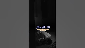 ولله يسجد من في ال#سورة_النحل #خالد_الجليل #قران_كريم #قران #راحة_نفسية #ارح_قلبك #viral #quran