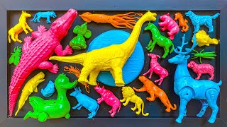membersihkan mainan hewan,dinosaurus,buaya,rusa,bebek,kuda,ikan nemo,badak,ikan paus,sapi,singa 