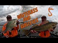 White Bass and Walleyes (GIANTS FOX RIVER WHITEBASS! BONUS WALLEYES!!)