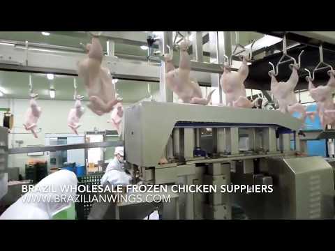 Video: Nature's Variety Herinner Aan Frozen Chicken Formula