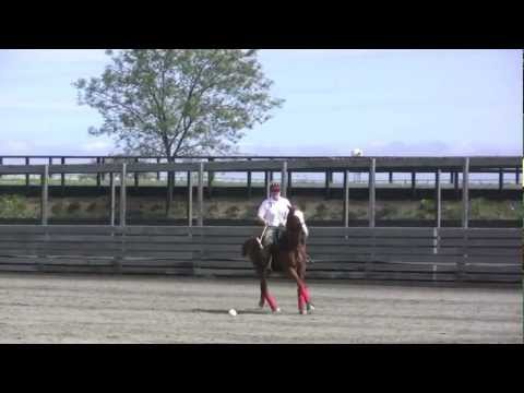 Learn To Ride And Play Polo In 90 Days
