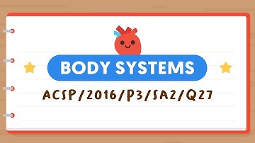 PSLE SCIENCE MADE SIMPLE EP34 | Body Systems | Deciphering Undigested Food Graphs