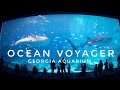 Zoo Tours: The Ocean Voyager | Georgia Aquarium (2005)