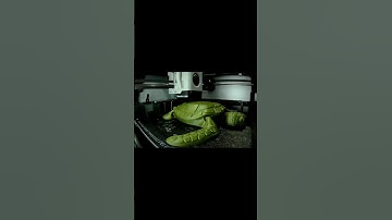 Articulated Sea Turtle 3D printing timelapse