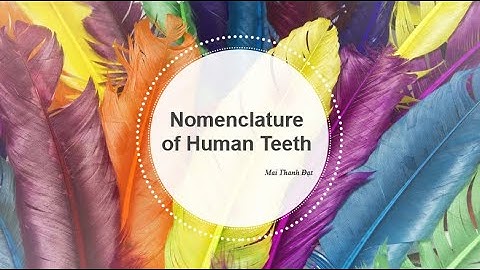 Anh văn chuyên ngành Răng Hàm mặt|| Gọi tên, xác định vị trí răng, các mặt răng || Bài 1