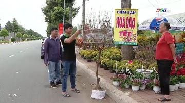 Câu chuyện tiêu dùng 14/1/2023 | Xu hướng hoa- cây cảnh Tết | BRT TV