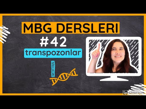 Video: Bir transpozonun amacı nedir?