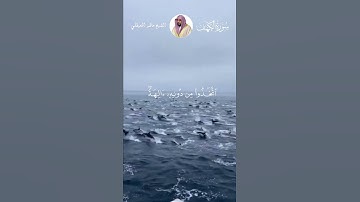 من سورة الكهف الآية 15 بصوت الشيخ ماهر المعيقلي