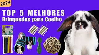 Top 5 Melhores Brinquedos para Coelho de 2024 by Pet Feliz a Vida Secreta dos Bichos 60 views 1 month ago 6 minutes, 28 seconds