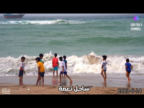 تأثير إعصار بيبارجوي الكارثة غير المباشر على شواطئ ولاية صور الصواري