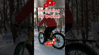 #fatbike #велосипед #природа #фэтбайк #bike #nature #велопоход #велопутешествие #велоспорт #bicycle