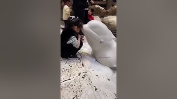 ان رحمت الله قريب تلاوة خاشعة القارئ احمد العجمي