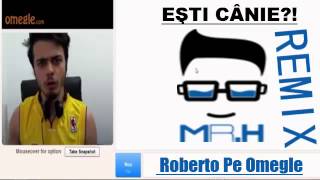 EŞTI CÂNIE? / Roberto pe Omegle [remix]