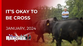 Shorthorn Association of America   The American Rancher   01 22 2024