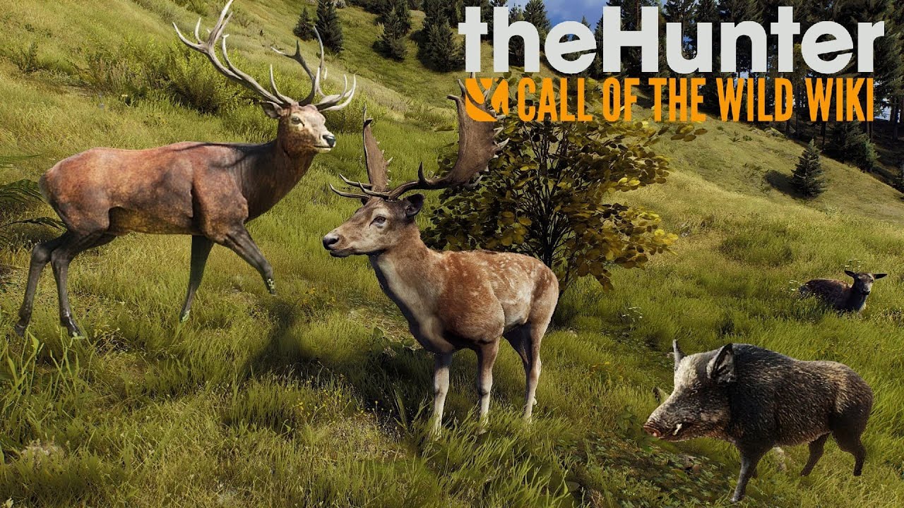 The hunter Scotland Misje i polowanie Daniele Sarny