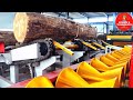 INCREDIBLE PLYWOOD MACHINERY-WOOD FACTORY PROCESSING LINE-MODERN TOCHNOLOGY FASTEST CUTTING MACHINE