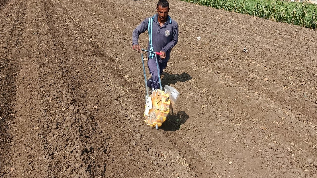 زراعة القمح بالبلانتر اعرف رقم البكرة وسعر البلانتر وكل التفاصيل عن زراعة القمح 